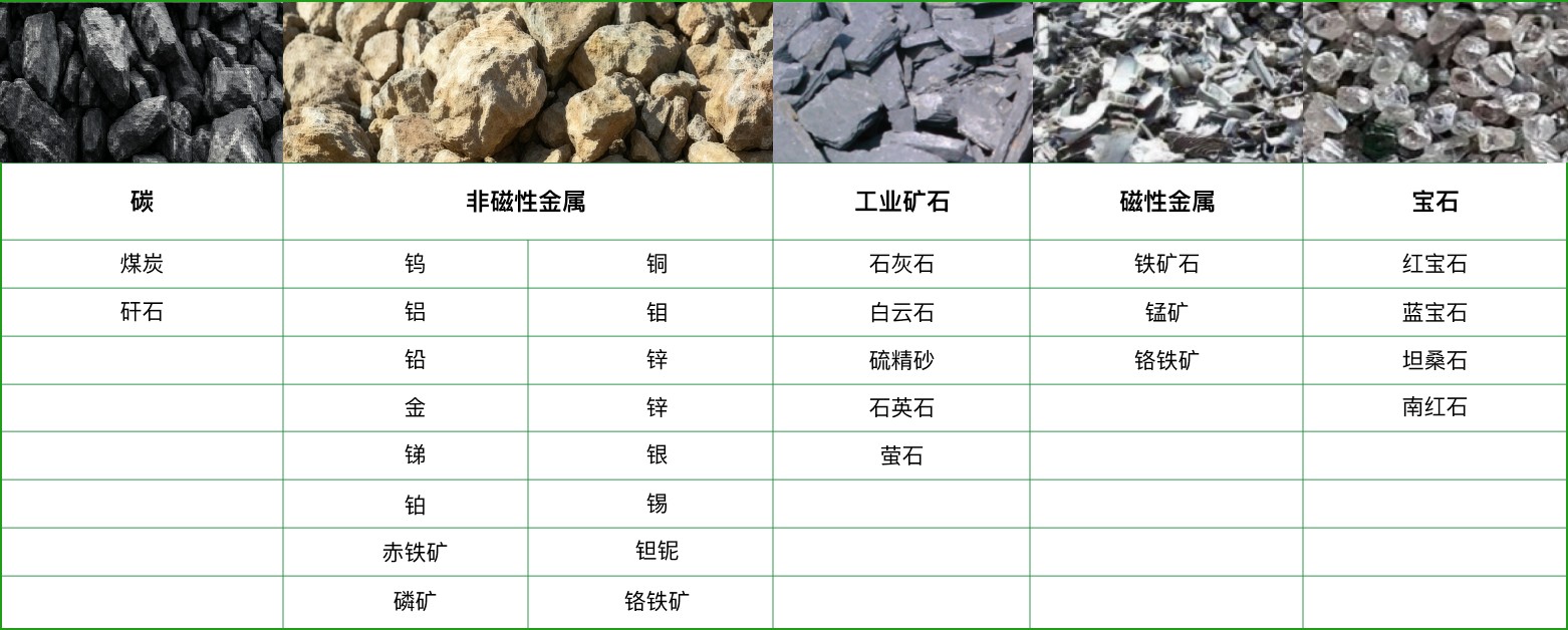 分选结构展示